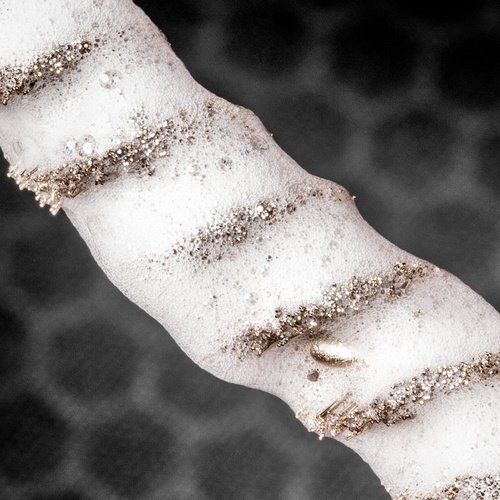 Real Avid - Szczotka do czyszczenia broni Bore-Max Speed Brush - .338 - AVBMSB338